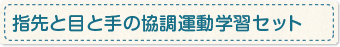 指先と目と手の協調運動学習セット