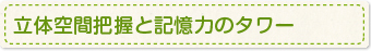 立体空間把握と記憶力のタワー